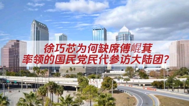 徐巧芯为何缺席傅崐萁率领的国民党民代参访大陆团?