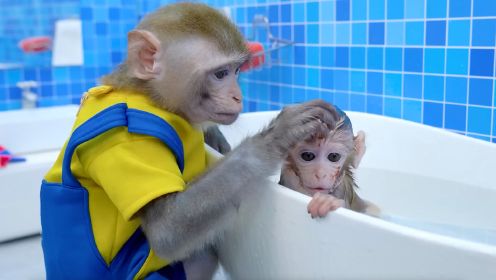 小猴子捡到了一个小猴宝宝