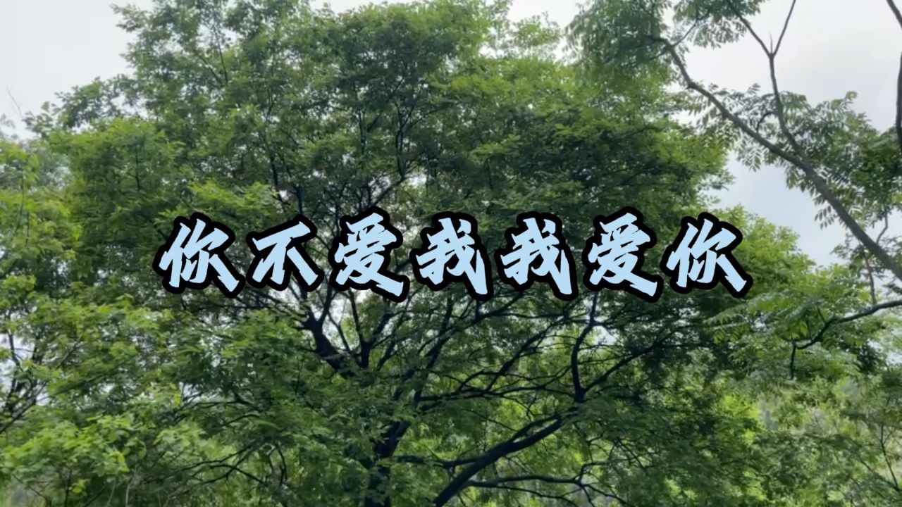 你不爱我我爱你 - 歌曲
