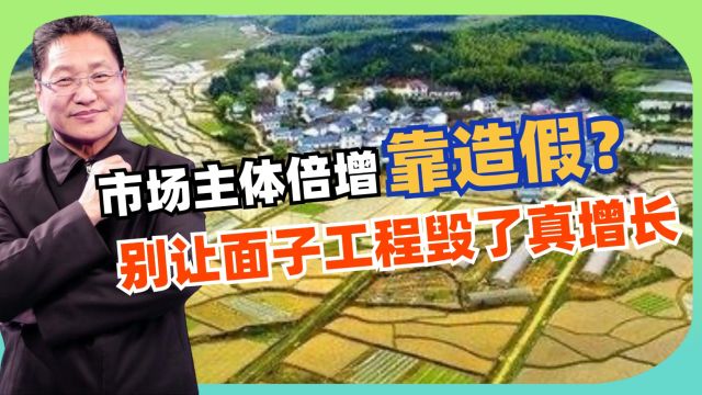 “市场主体倍增”靠造假?朱启臻:别让面子工程毁了真增长