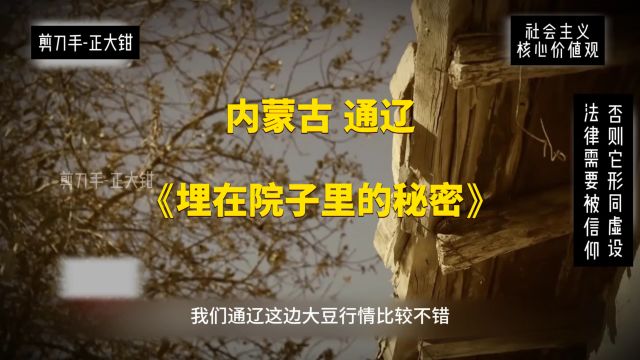 第2集| 内蒙古 通辽,宝龙山乱不乱,张某生说了算,《埋在院子里的秘密》