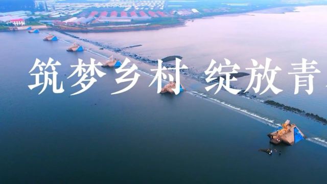 筑梦乡村 绽放青春——莱阳市选调生“五四”特辑