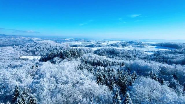 拍雪景#雪景 #雾凇雪景 #雪一落这里就美成了诗 #治愈系风景 #雪树银花