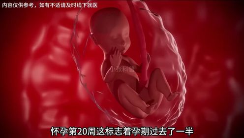 胎儿在你温暖的子宫里发育成长的过程究竟有多震撼。
