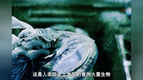 外星生物的恐怖不是人类能理解的《异星觉醒》