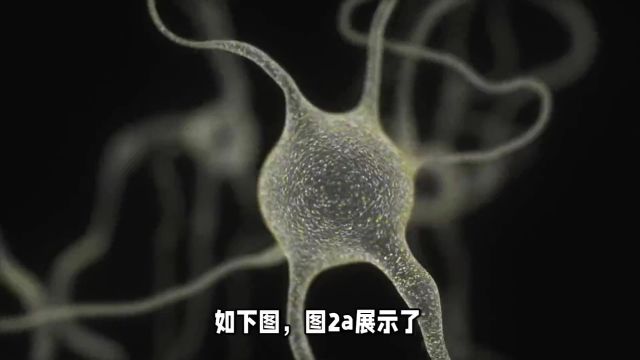 《自然》杂志最新发现:脑干是免疫系统的关键调节中枢