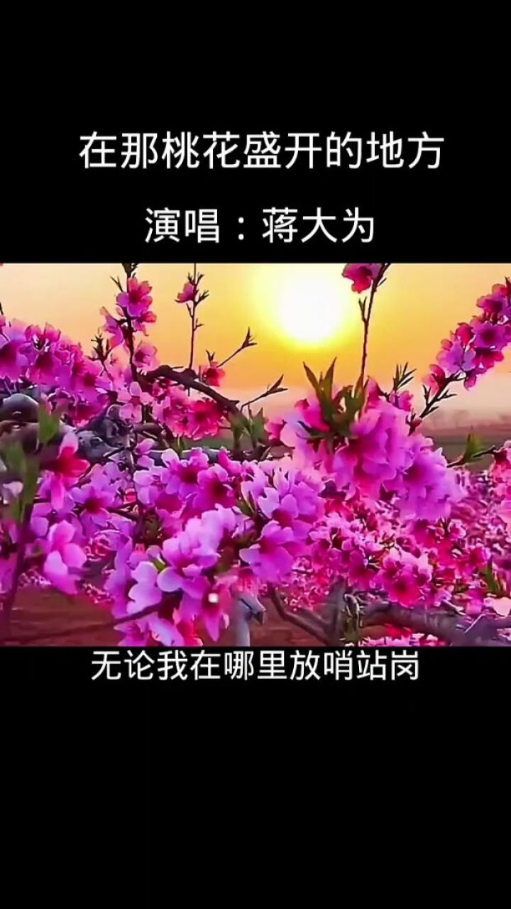 蒋大为演唱歌曲《在那桃花盛开的地方》