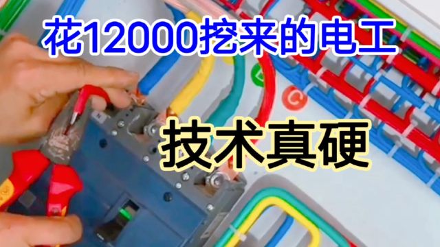 厂长花12000挖来的高级电工,你看他是怎么接电缆的?难怪工资高