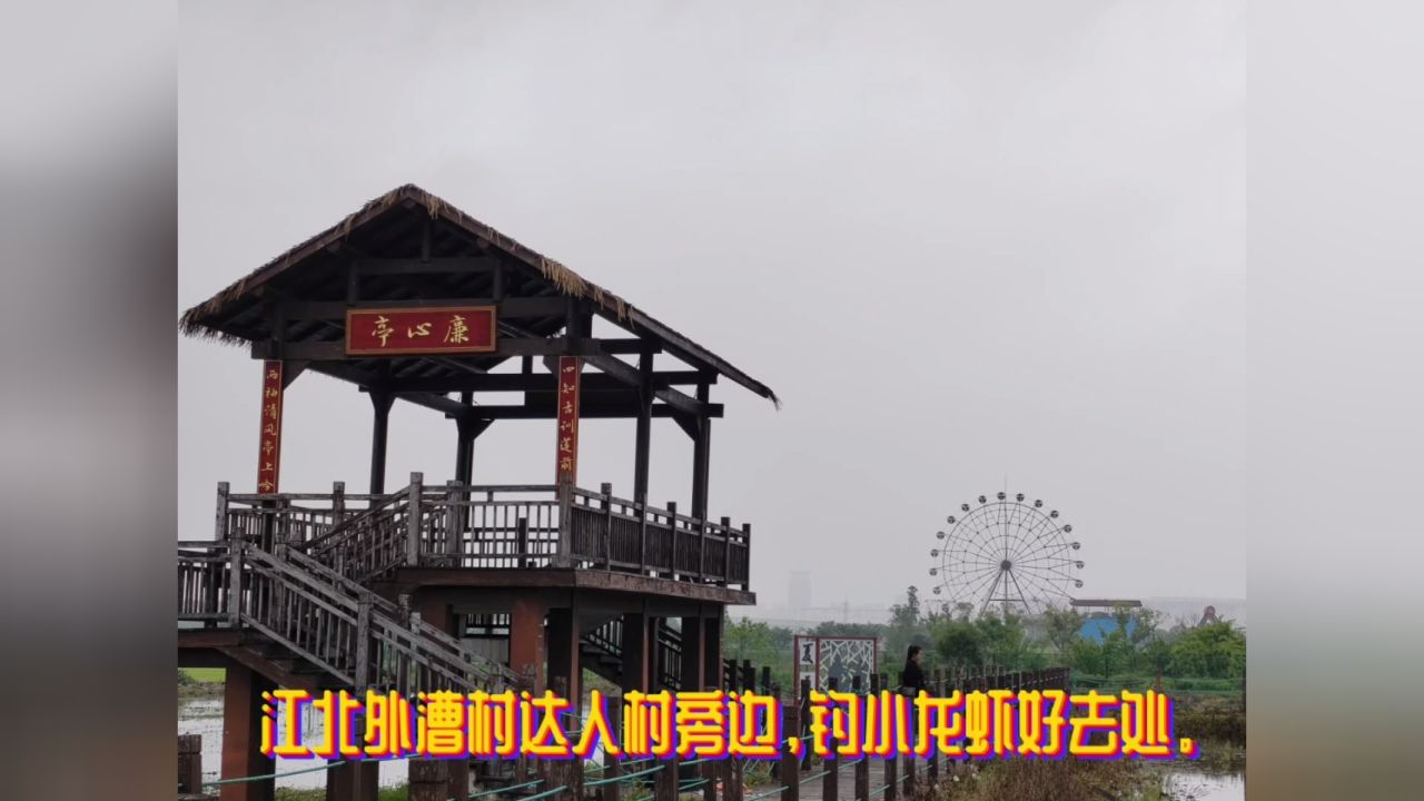 江北外漕村达人村旁边,钓小龙虾的好去处.