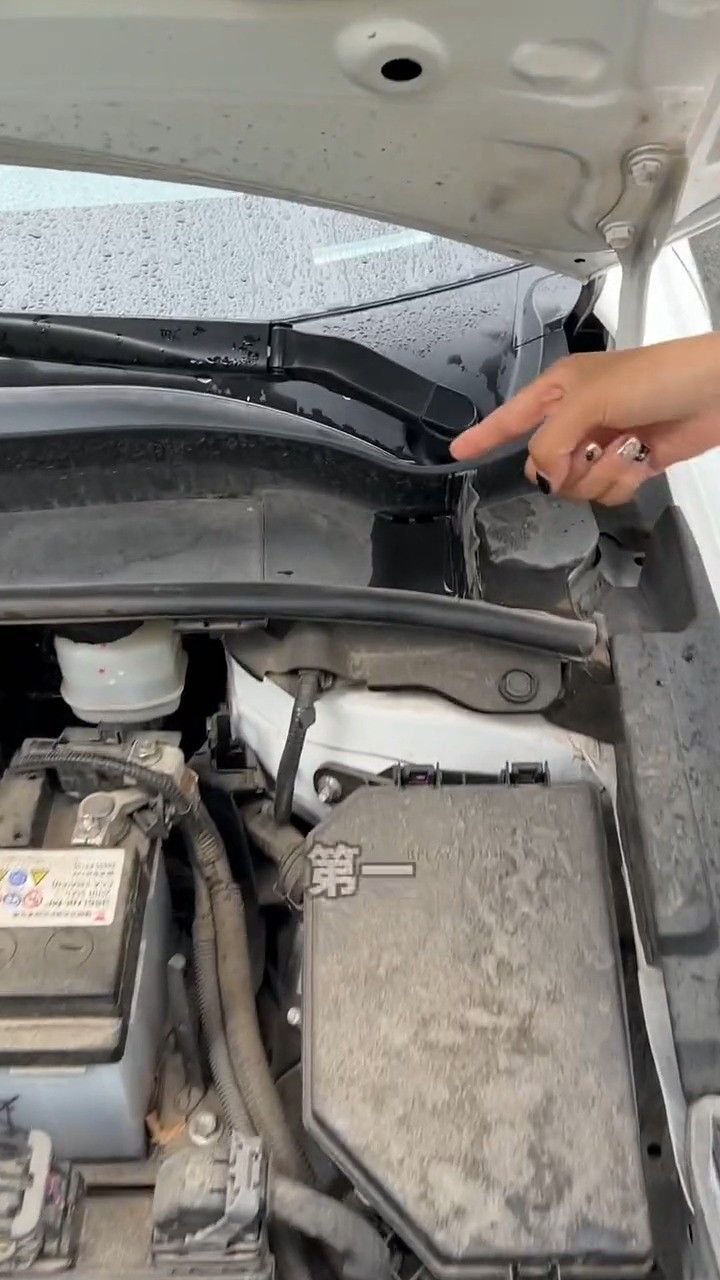 车上这几排水孔一定要注意了!