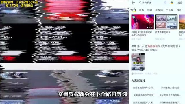 国内的抓拍神器海燕系统!你被抓拍过吗?