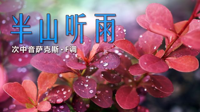 一曲美妙的古风纯音乐,即兴演奏《半山听雨》,旋律娓娓动听!