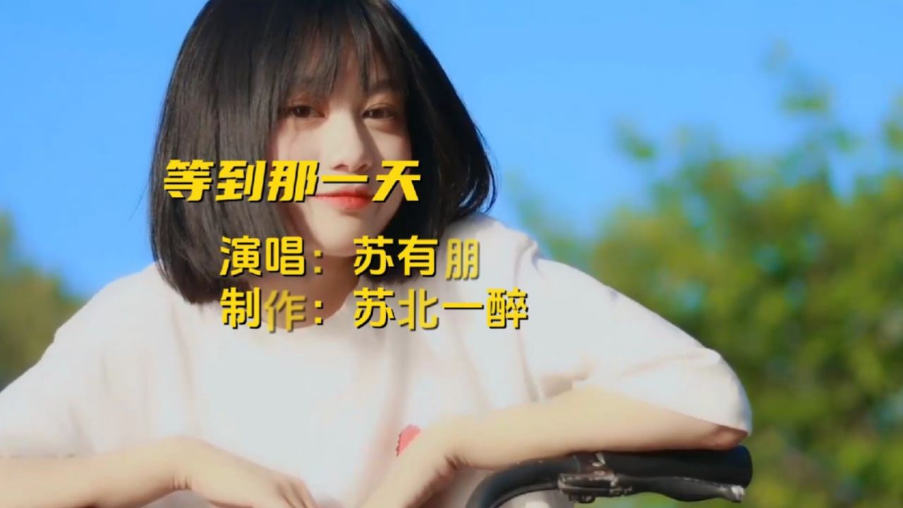 苏有朋《等到那一天》,重温经典,深藏着我逝去青春的旋律.