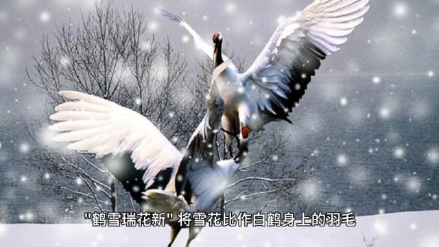 骆宾王《咏雪》赏析