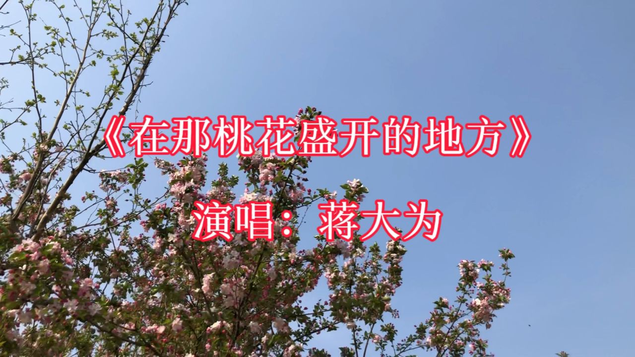经典歌曲《在那桃花盛开的地方》,蒋大为演唱