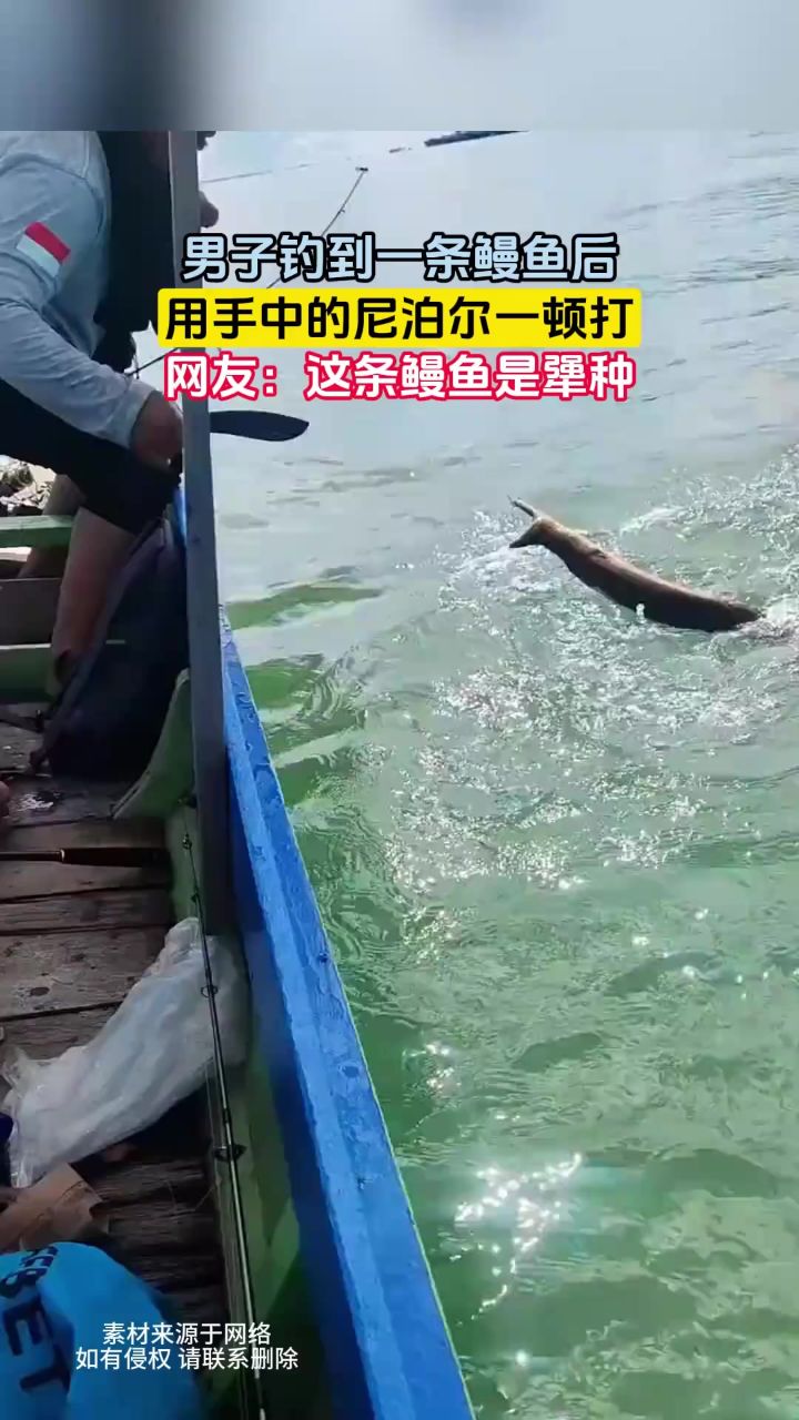 男子钓到一条鳗鱼后,用手中的尼泊尔一顿打,网友:这条鳗鱼是犟种