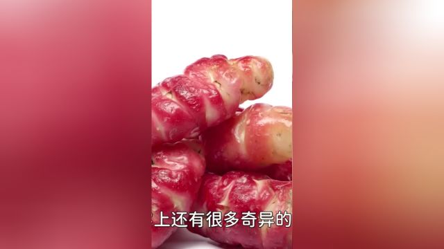 7种奇特的蔬菜,不仅好看还好吃?打开新世界大门