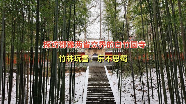 探访鄂豫两省交界的白竹园寺,竹林玩雪,乐不思蜀