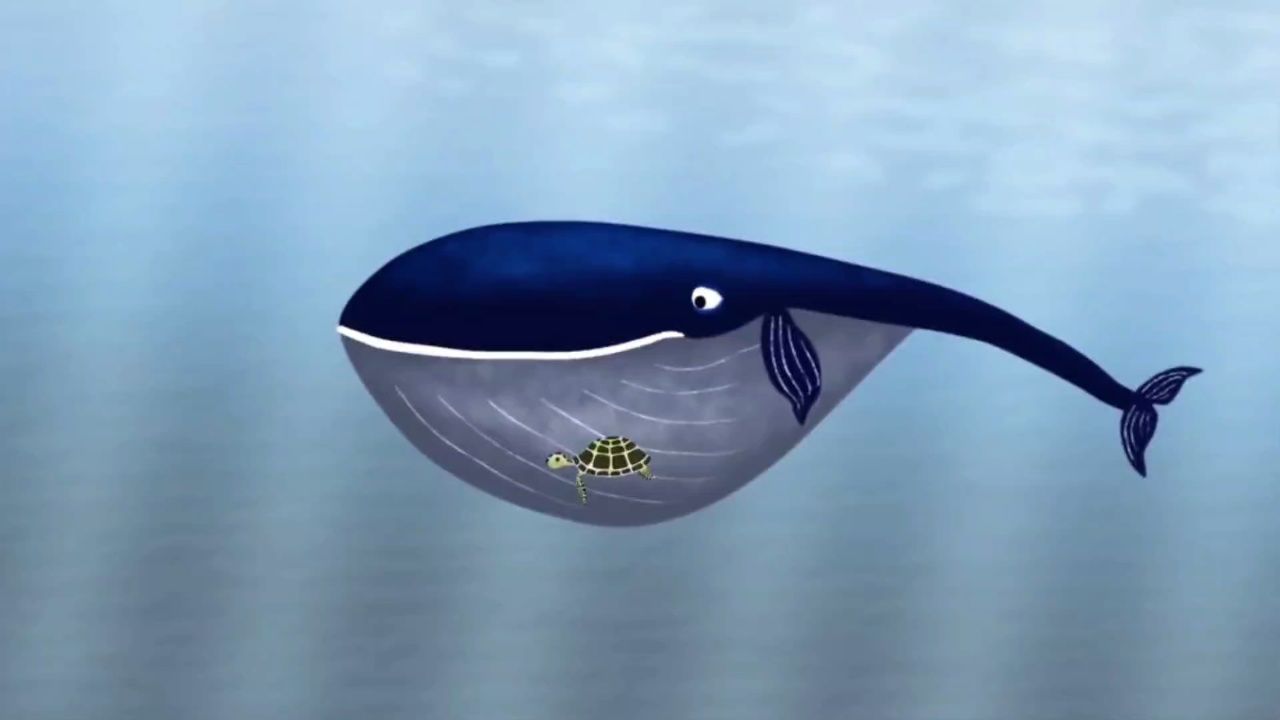 治愈动画短片—《鲸鱼/whale》 #治愈 #被遗忘的动画片