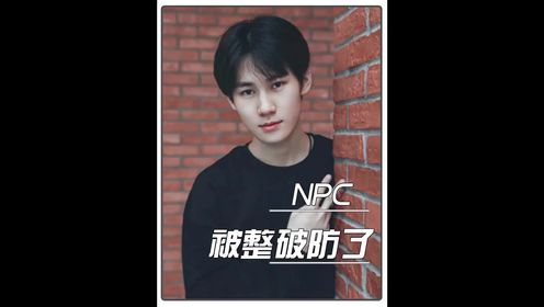 他们就是npc的克星吧!