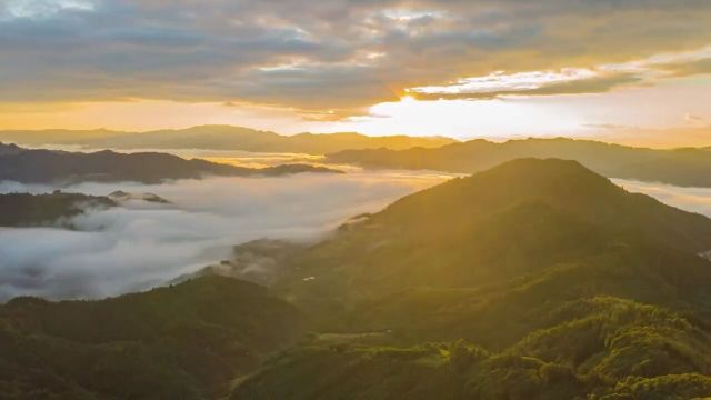 音乐一响,云海日出登场#日出云海#国家能源集团#风力发电大风车