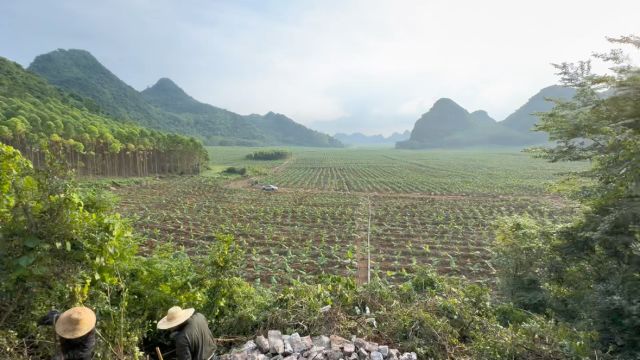 广西石山风水宝地欣赏