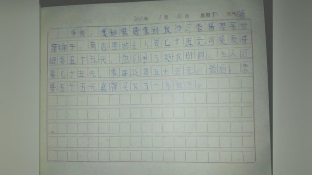 #小学生作文2003年,表哥是杀价高手,我是作文大师.