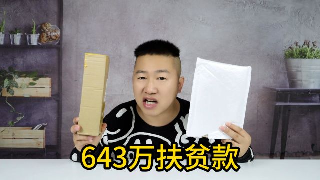 今天又收到了两笔巨款,643万扶贫款!