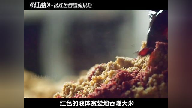 原来红烧的红是来自于这种米,这是老人最后一次制作,看着就诱人非遗传承红曲纪录片解说老手艺