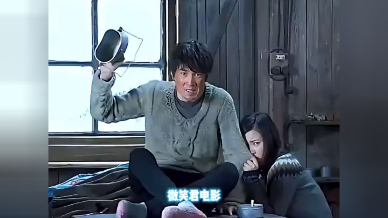 南极之恋中的爱情打动你了吗