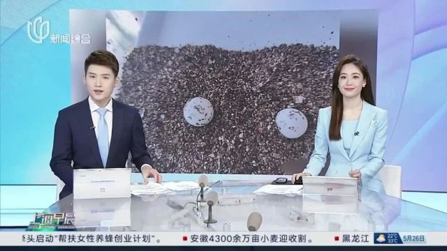 突然爆火!有人担心:生鲜平台能卖这个?