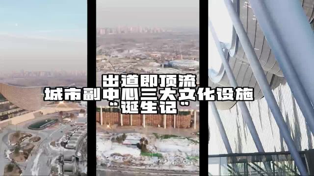 出道即顶流,城市副中心三大文化设施“诞生记”