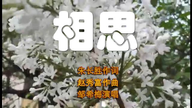 赵秀富爱情歌曲《相思》