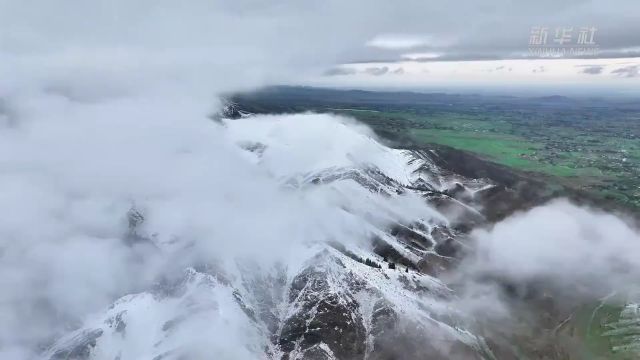 新疆江布拉克:夏日雪景