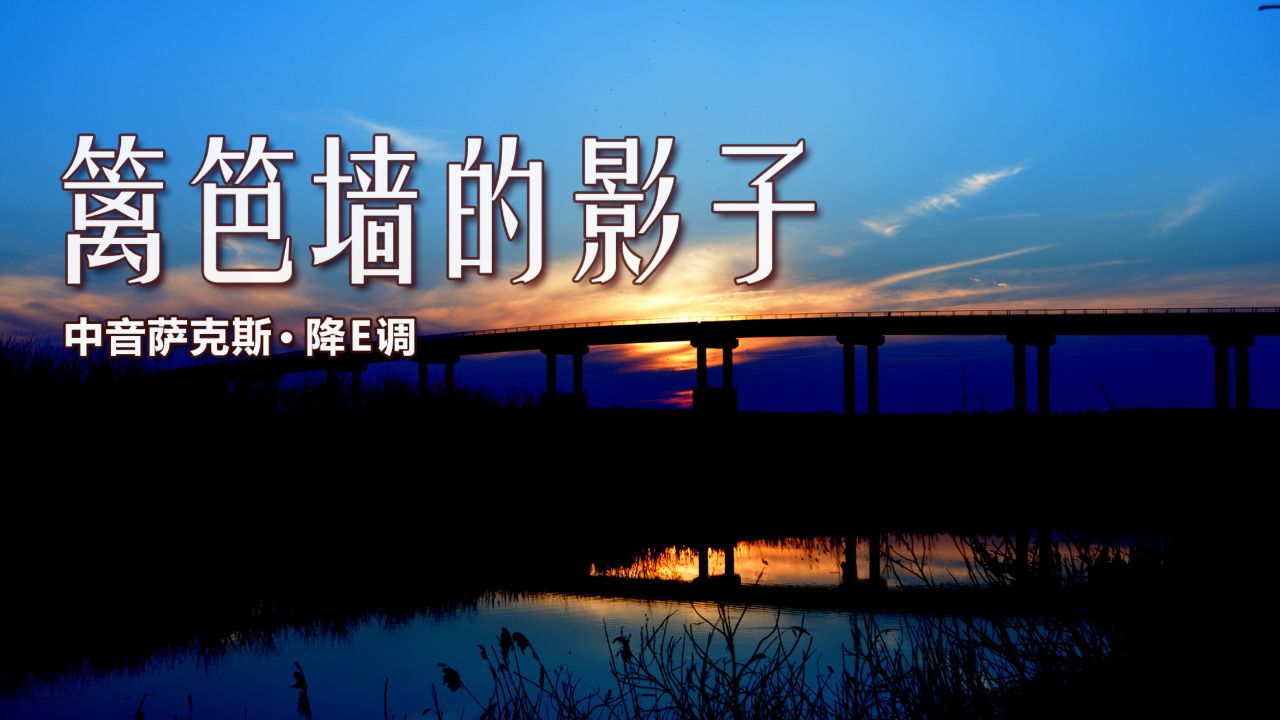 一首经典的影视金曲,《篱笆墙的影子》萨克斯演奏,旋律熟悉动听!