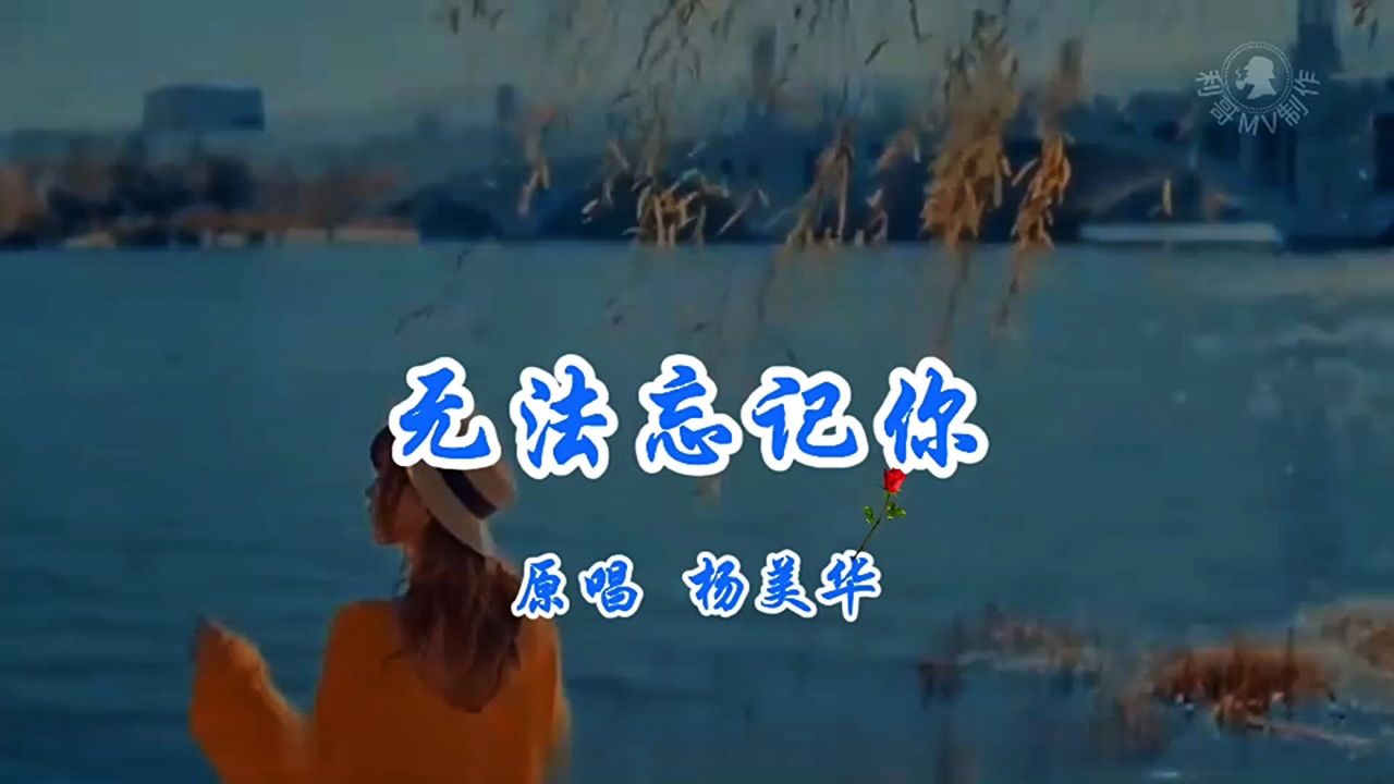 杨美华《无法忘记你》