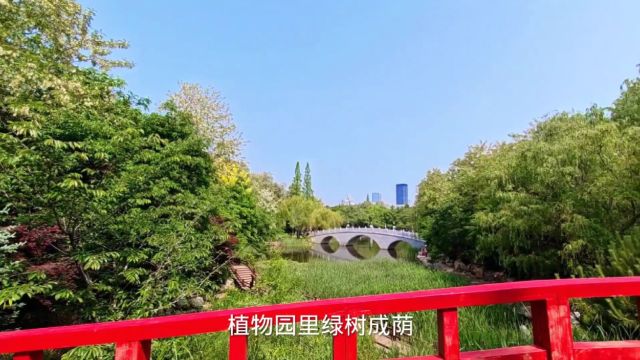 大连植物园是隐秘在市内的天然氧吧休闲散步纳凉惬意至极