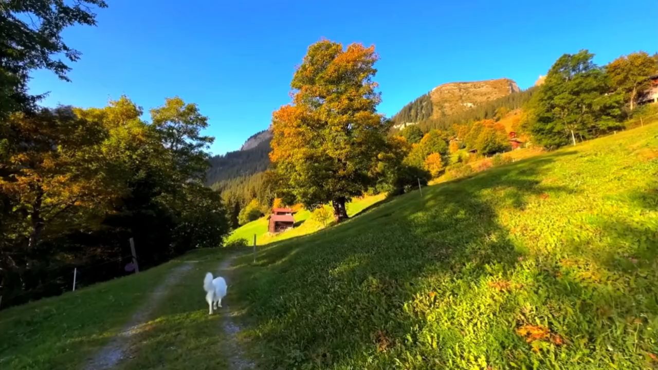 我始终认为遇见好看的风景,就要分享给你.