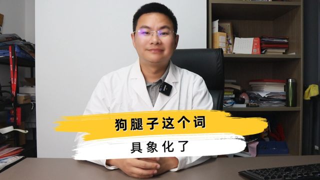 什么叫狗腿子?看完视频你就知道