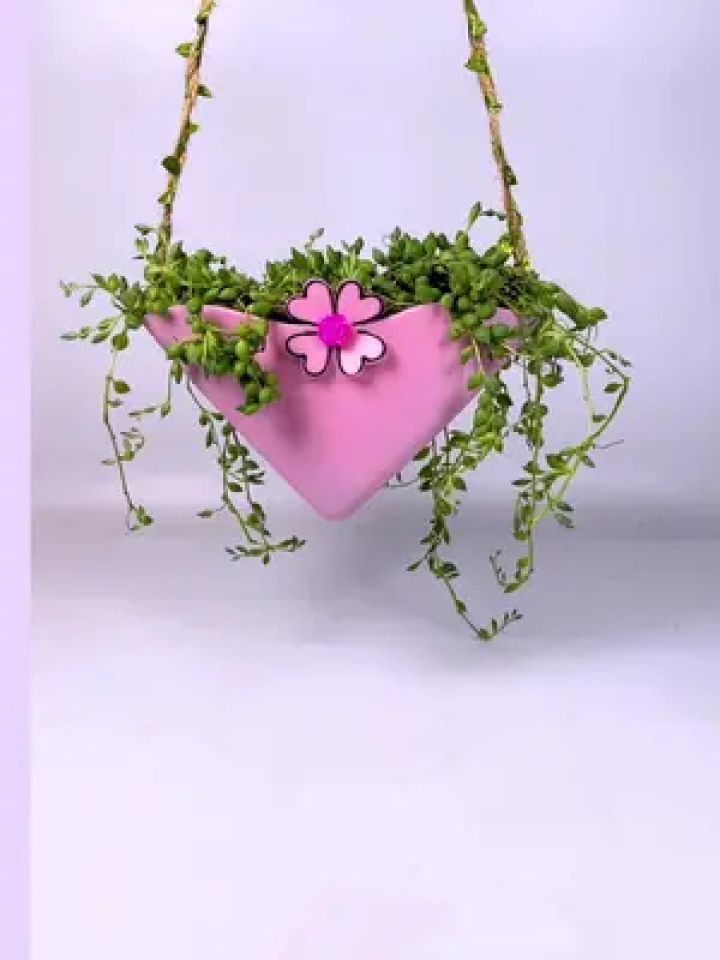 洗衣液瓶子改造#变废为宝 #手工 #自制花盆 #手工diy