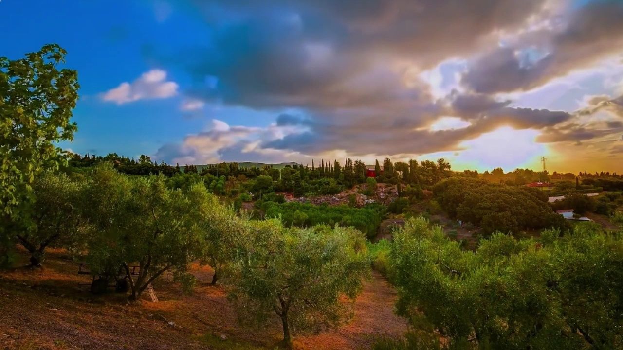 徐真真 没听妈妈的话 伴奏 和声伴奏