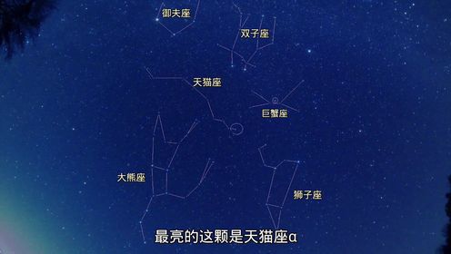 长什么样子?为何叫天猫座?