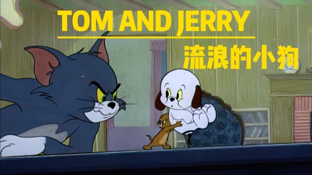 TOM AND JERRY 之流浪的小狗