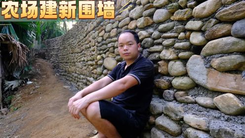 独自一人来来回回的背石头，只是为了省一些砖头钱，越南大山里的生活太艰苦了