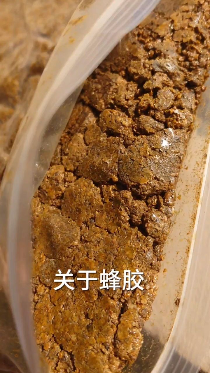蜂胶的味道是什么样的气味蜂胶的口感蜂胶的价格多少一斤纯正蜂胶怎么