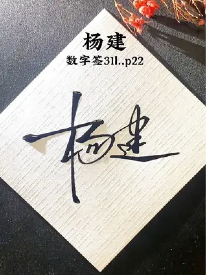 签名就要简洁大气又实用 杨建,数字签:31l.