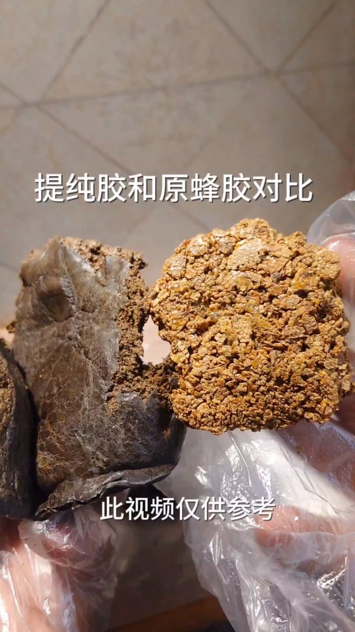 黑蜂胶图片大全图片