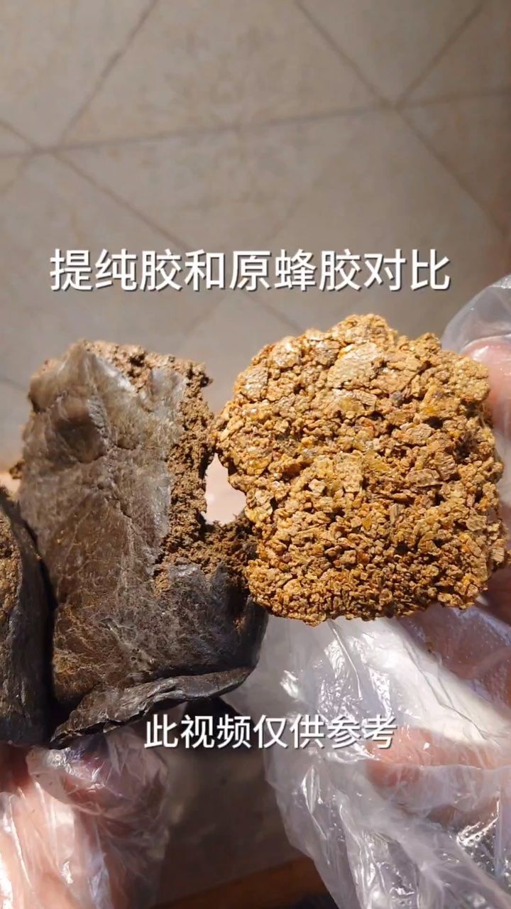 提纯后的蜂胶和天然原蜂胶的对比差异不同区别哪种蜂胶比较好蜂胶里面