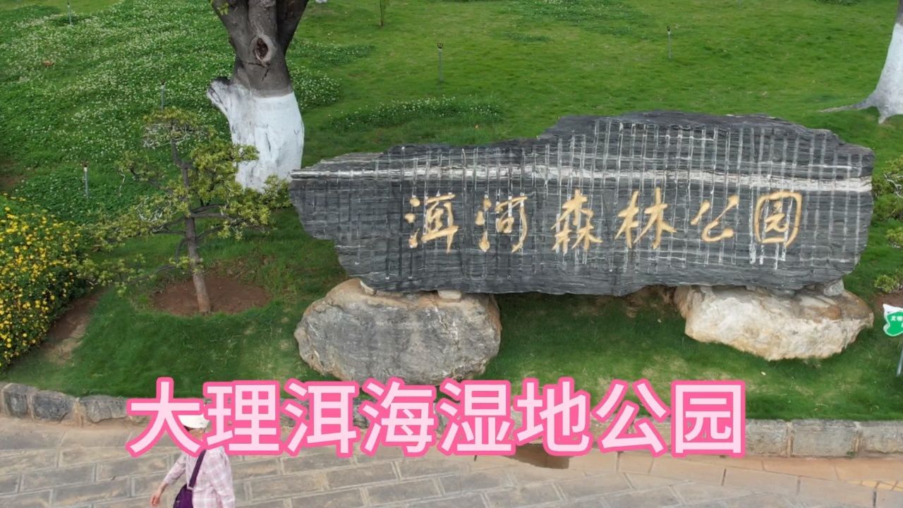 大理洱海湿地公园