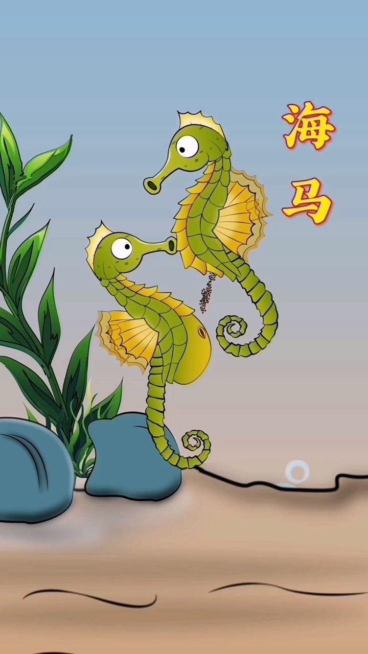 海马的冷知识,你知道几个?